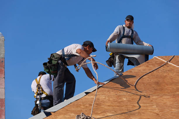 Best Roof Maintenance Services  in Estherville, IA