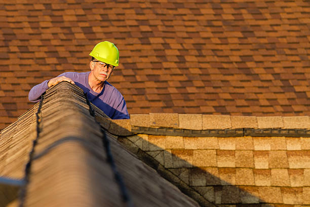 Best New Roof Installation  in Estherville, IA