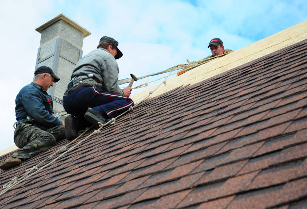 Best Commercial Roof Installation  in Estherville, IA