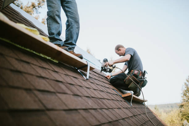 Best Flat Roof Repair Services  in Estherville, IA
