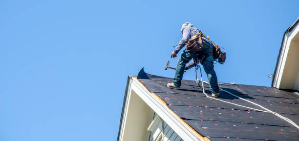 Best Residential Roofing Contractor  in Estherville, IA
